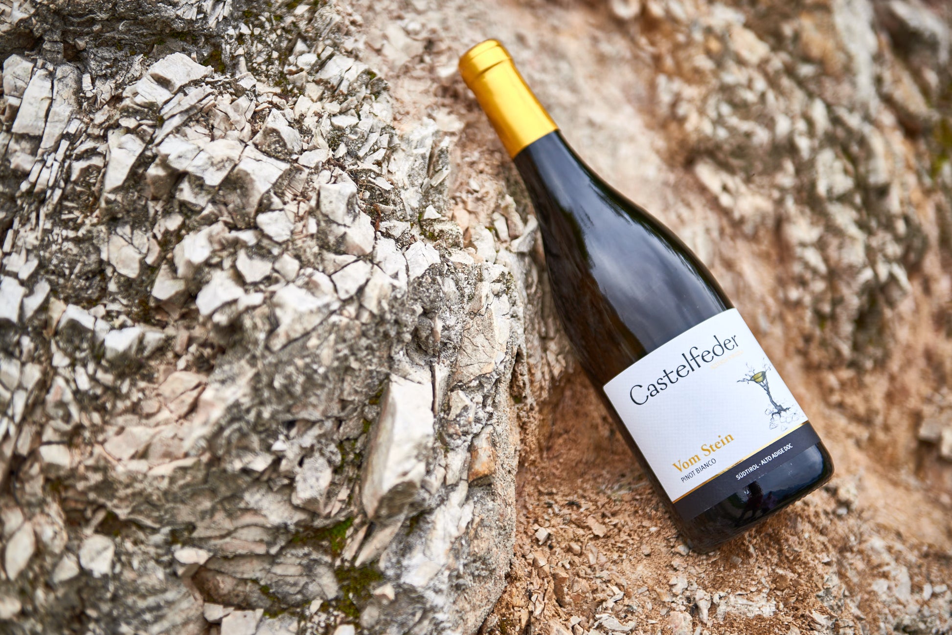 Pinot Grigio "15" 2023 6