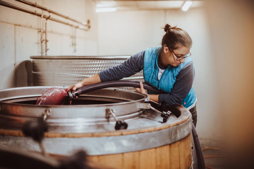 Weingut Falkenstein 3
