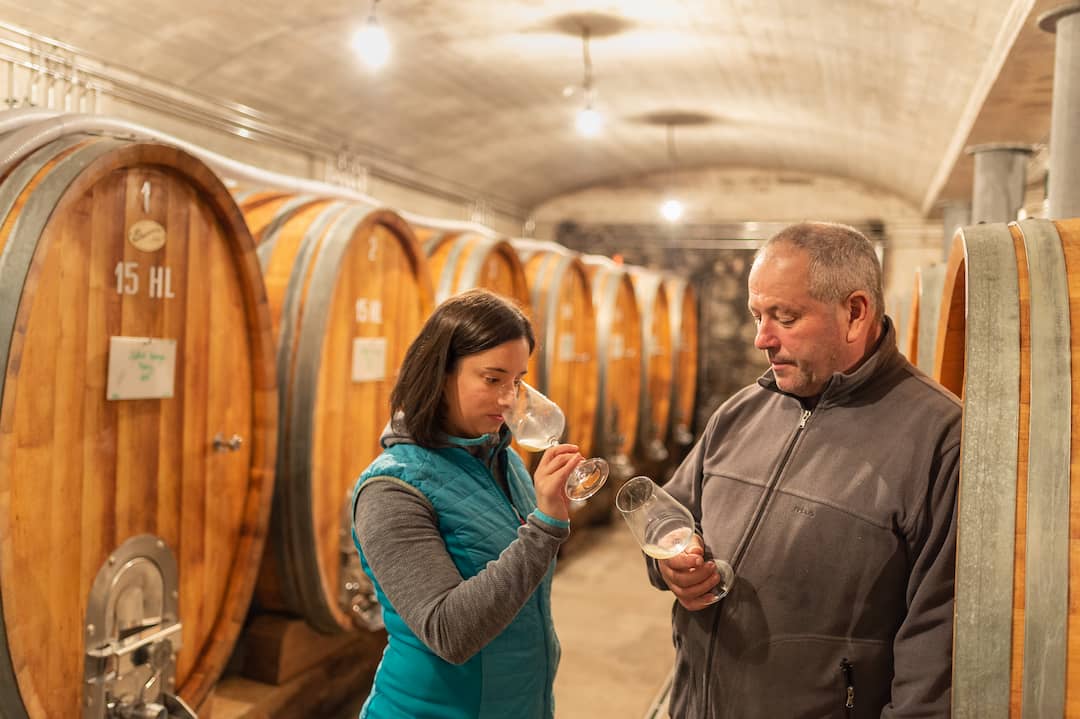 Weingut Falkenstein 4