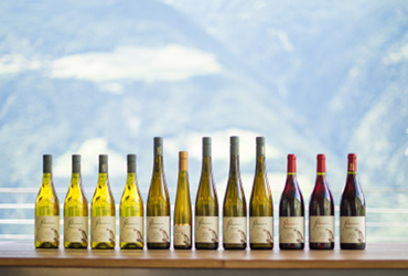 Weingut Falkenstein 5