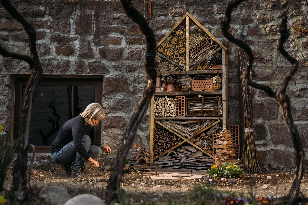 Weingut Fliederhof 2