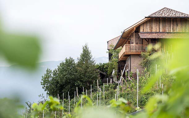 Lagrein Riserva "Select" 2020 6