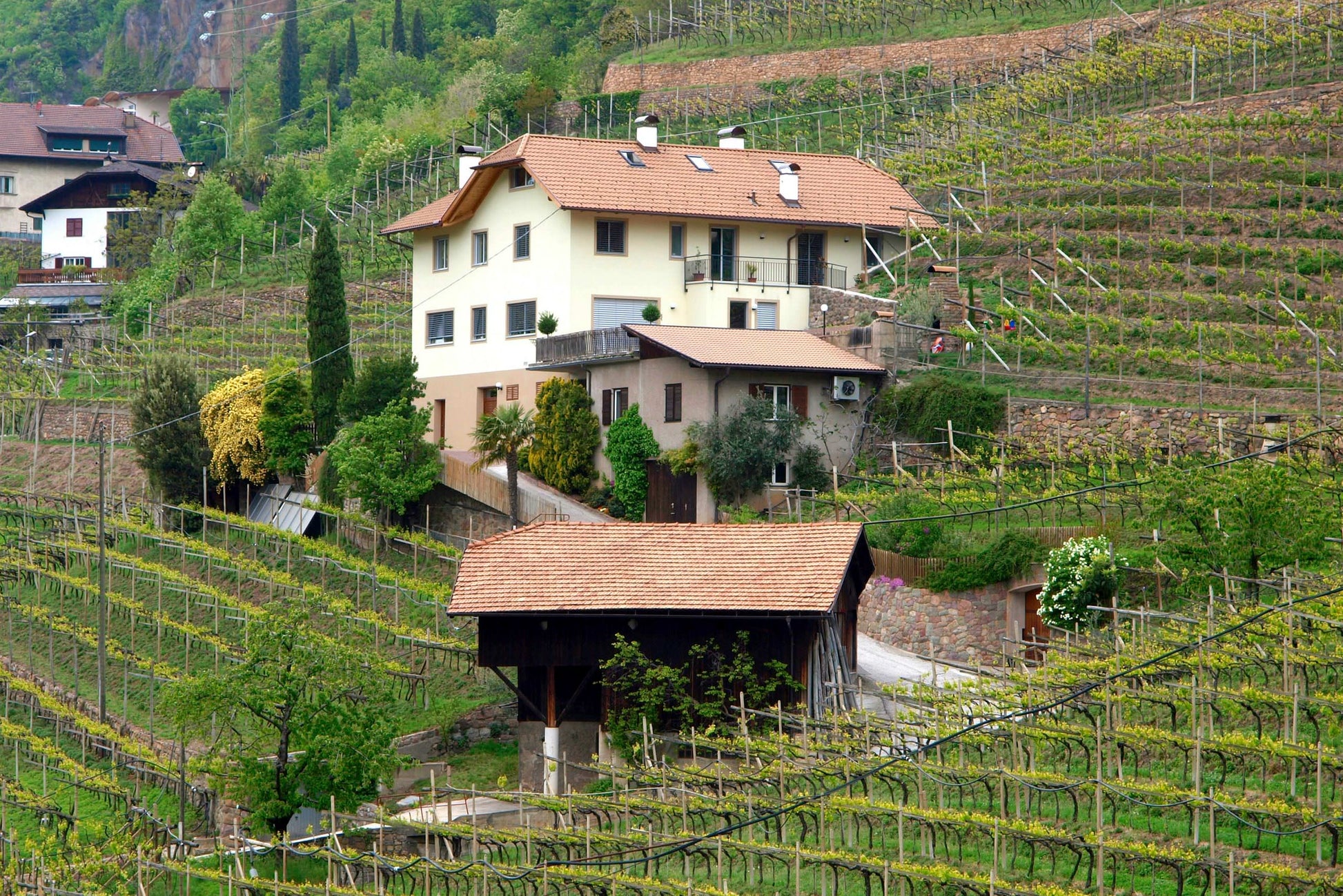 Weingut Obermoser 4