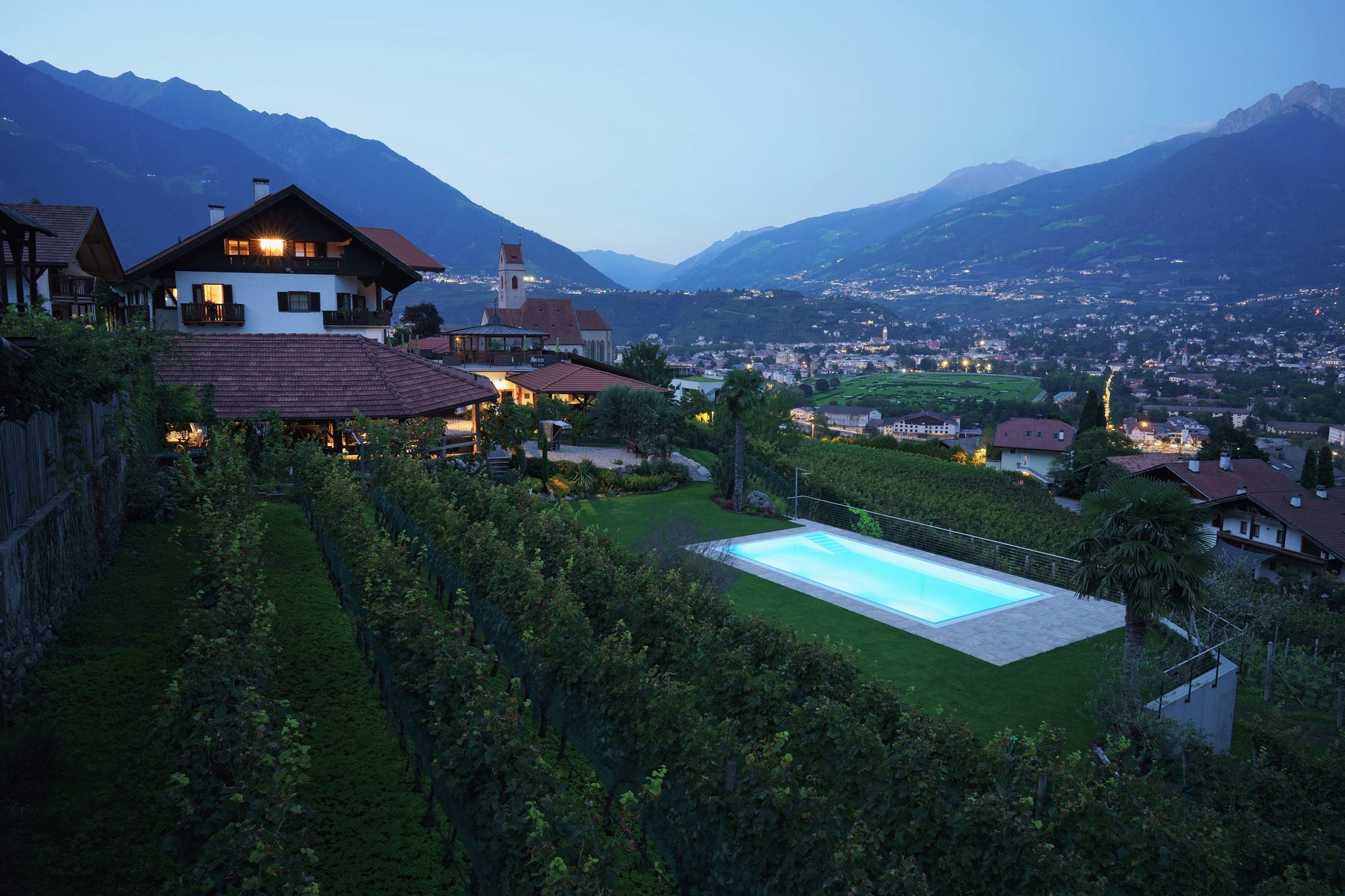 Weissburgunder 2024 4