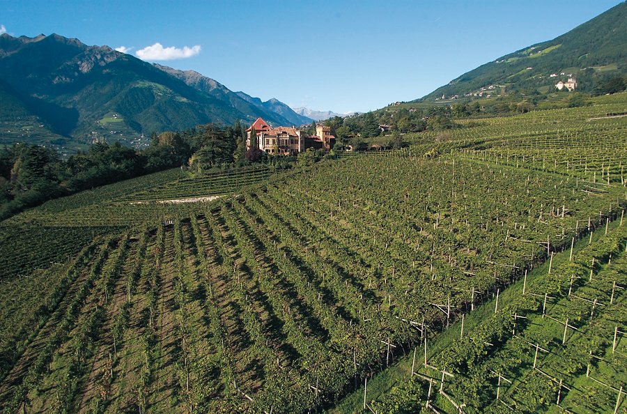 Sekt Brut Rosé "Castel Monreale" 4