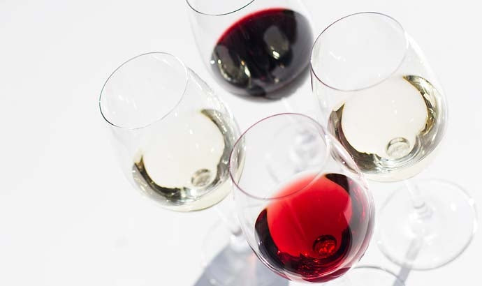 Sauvignon 2021 5