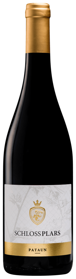 Weissburgunder "Pataun" 2024 1