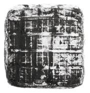 Ziegenweichkäse "Carbonito" 1