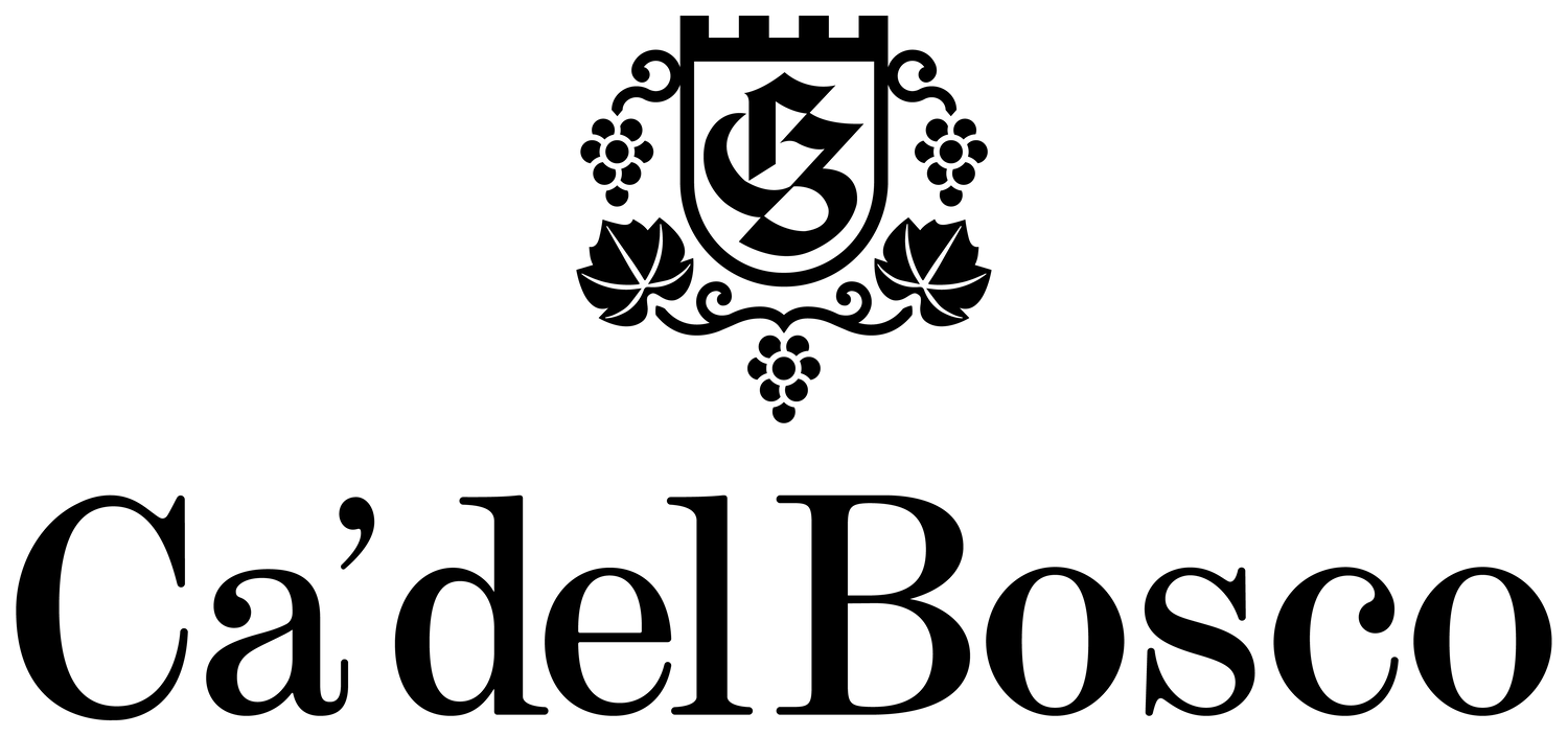 CA'DEL BOSCO SRL Logo