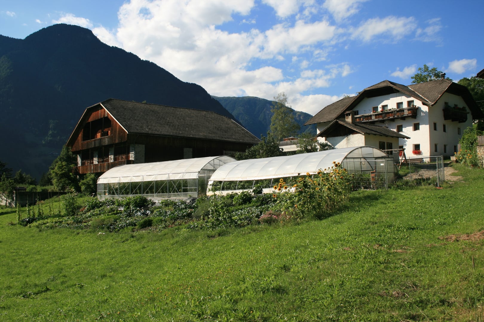 Ah! Natur 5