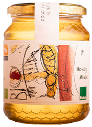 Akazienhonig Bio 1
