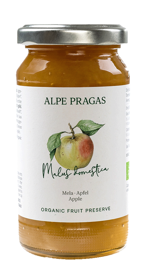 Apfel Bio Fruchtaufstrich 1