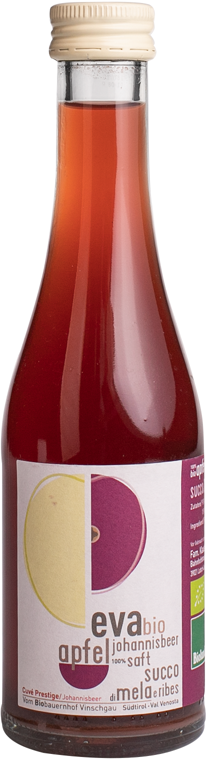 Apfel - Johannisbeersaft Bio 1