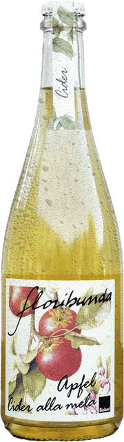 Apfelcider klassisch "Floribunda" Bio 1