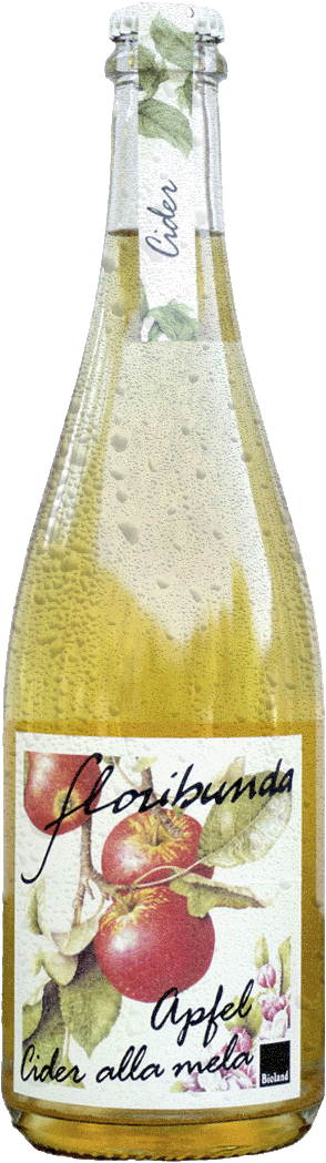 Apfelcider klassisch "Floribunda" Bio 1