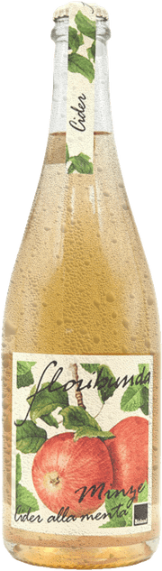 Apfelcider Minze "Floribunda" Bio 1