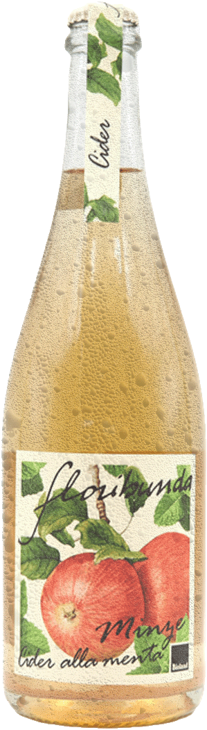 Apfelcider Minze "Floribunda" Bio 1