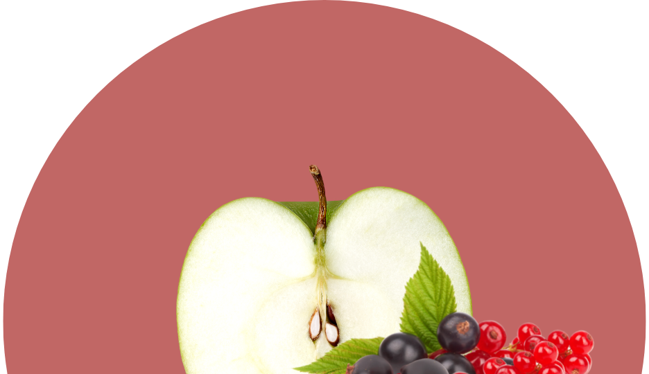Bergapfelsaft mit Johannisbeere 2