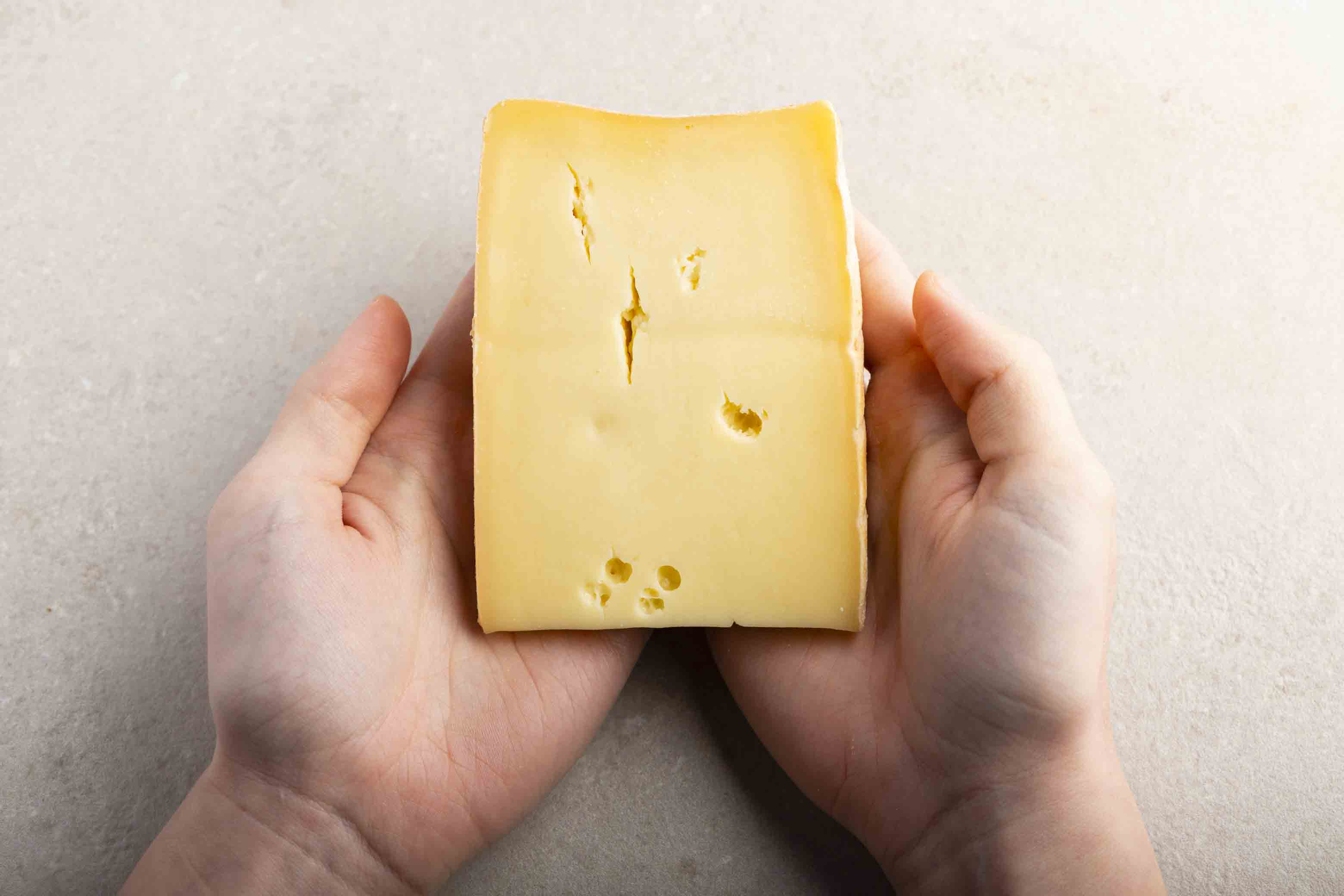 Bergkäse Bio des Hauses 2