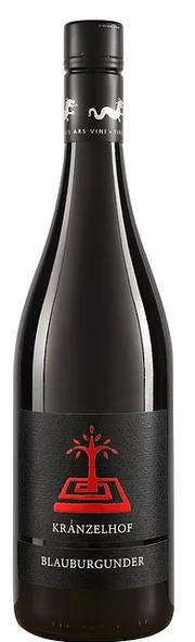Blauburgunder  2023 1