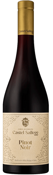 Blauburgunder 2023 1