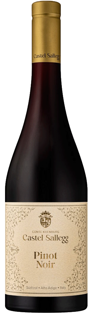 Blauburgunder 2023 1