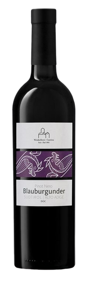 Blauburgunder 2023 1