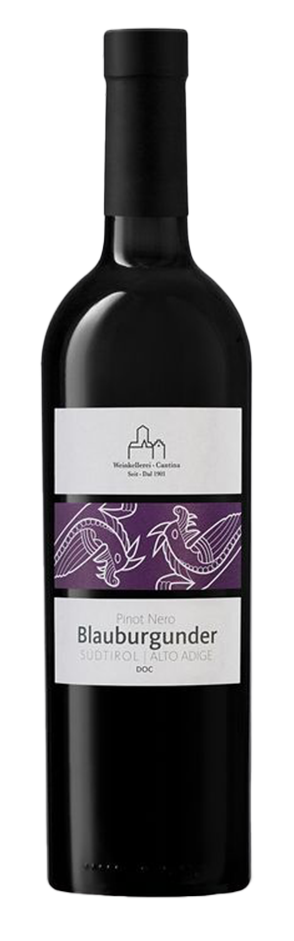 Blauburgunder 2023 1
