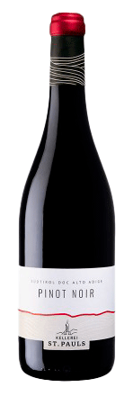 Blauburgunder  2024 1