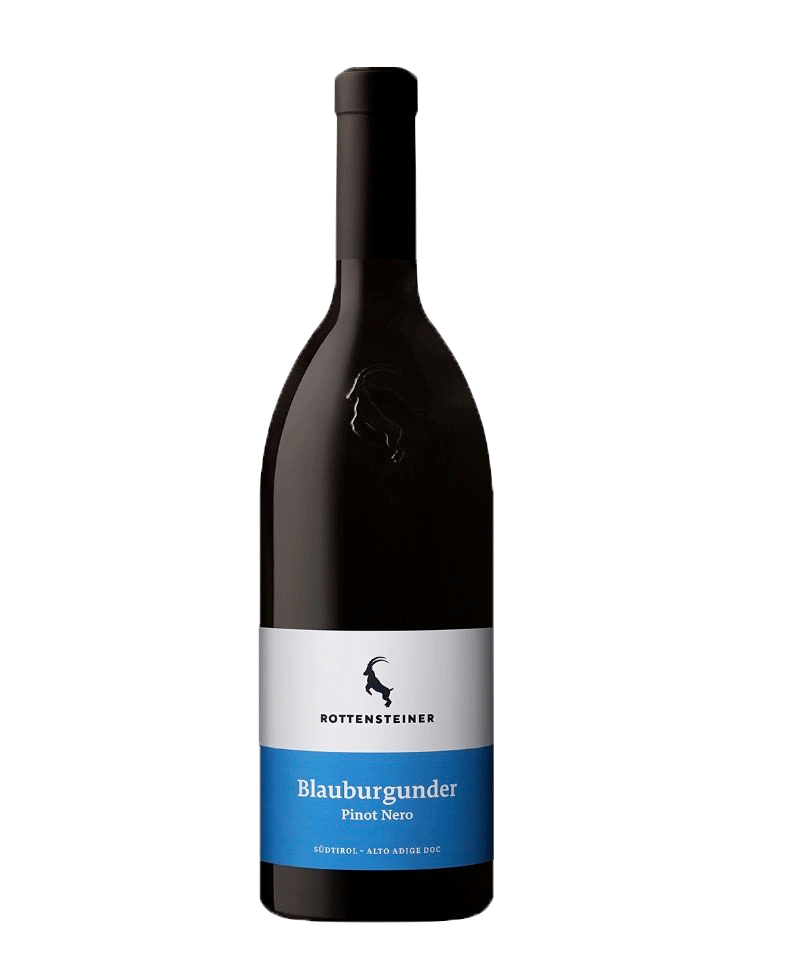 Blauburgunder  2024 1