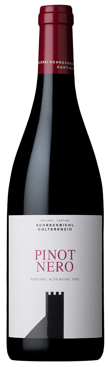  Blauburgunder 2024 1