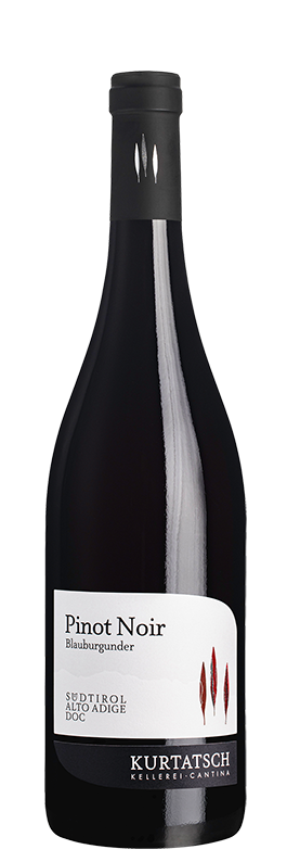 Blauburgunder 2025 1