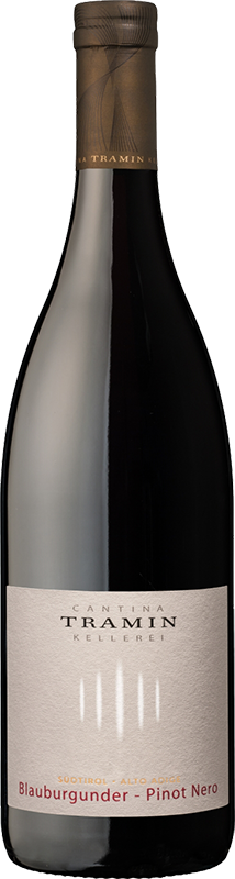 Blauburgunder 2025 1