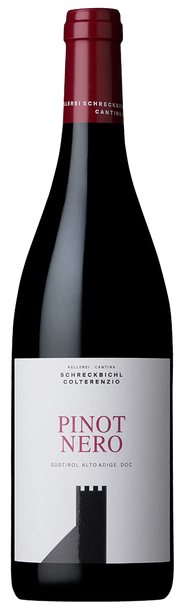  Blauburgunder 2025 1