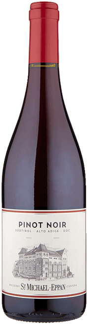 Blauburgunder 2025 1