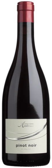 Blauburgunder 2025 1