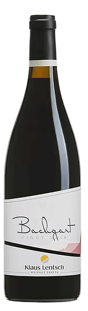 Blauburgunder Bachgart 2021 1