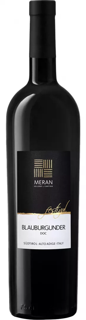 Blauburgunder "Festival"  2024 1