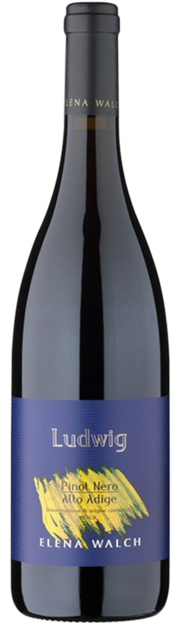 Blauburgunder "Ludwig"   2023 1