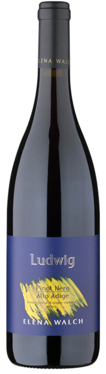 Blauburgunder "Ludwig"   2023 1