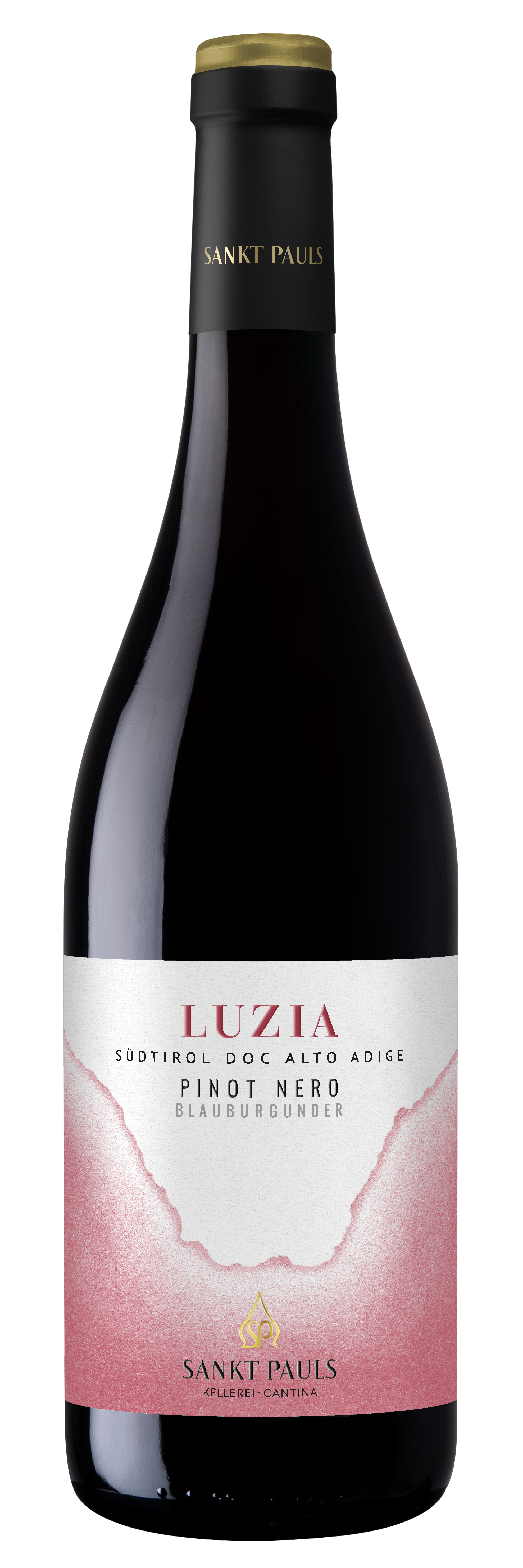 Blauburgunder "Luzia" 2024 1