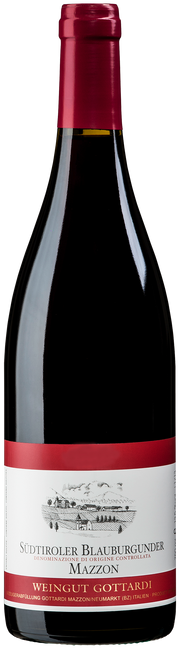 Blauburgunder "Mazzon" 2021 1