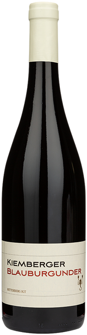 Blauburgunder Mitterberg "Himmelstor" 2020 1