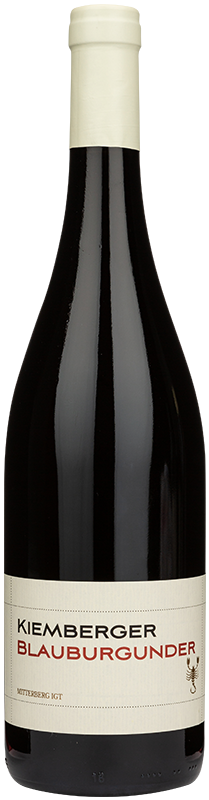 Blauburgunder Mitterberg "Himmelstor" 2020 1