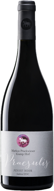 Blauburgunder "Praesulis"  2023 1