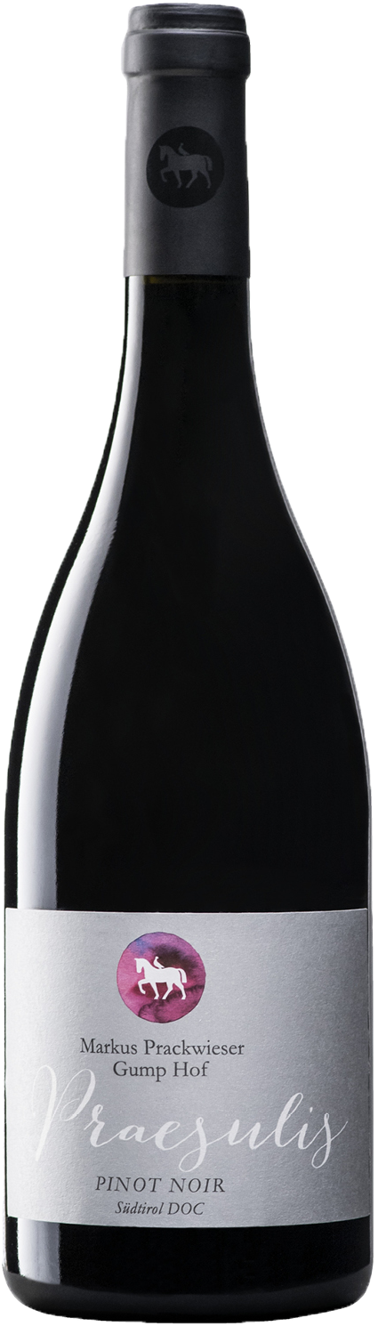 Blauburgunder "Praesulis"  2023 1