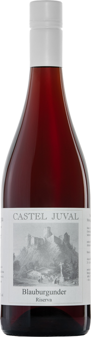 Blauburgunder Riserva 2023 1