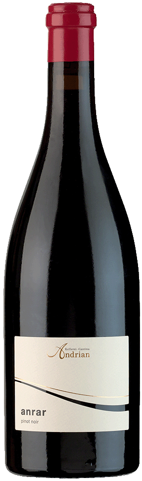 Blauburgunder Riserva "Anrar" 2023 1