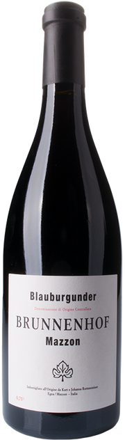Blauburgunder Riserva Mazzon Bio 2020 1