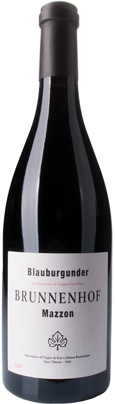 Blauburgunder Riserva Mazzon Bio 2020 1